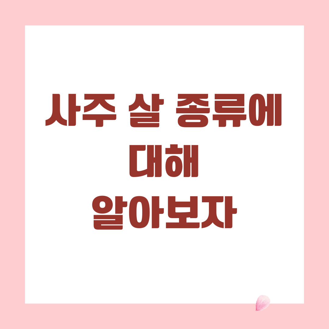 사주 살 종류