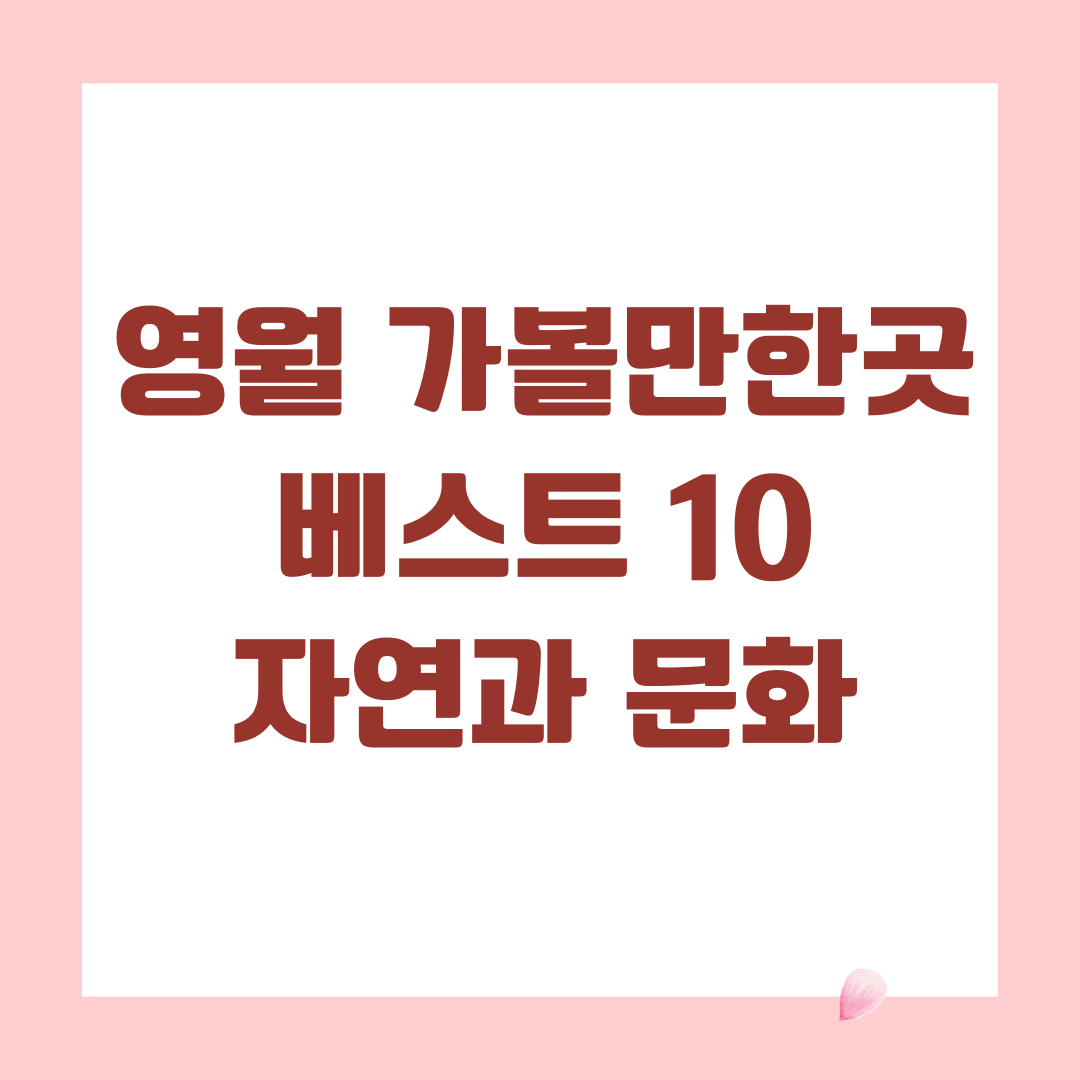 영월 가볼만한곳 베스트