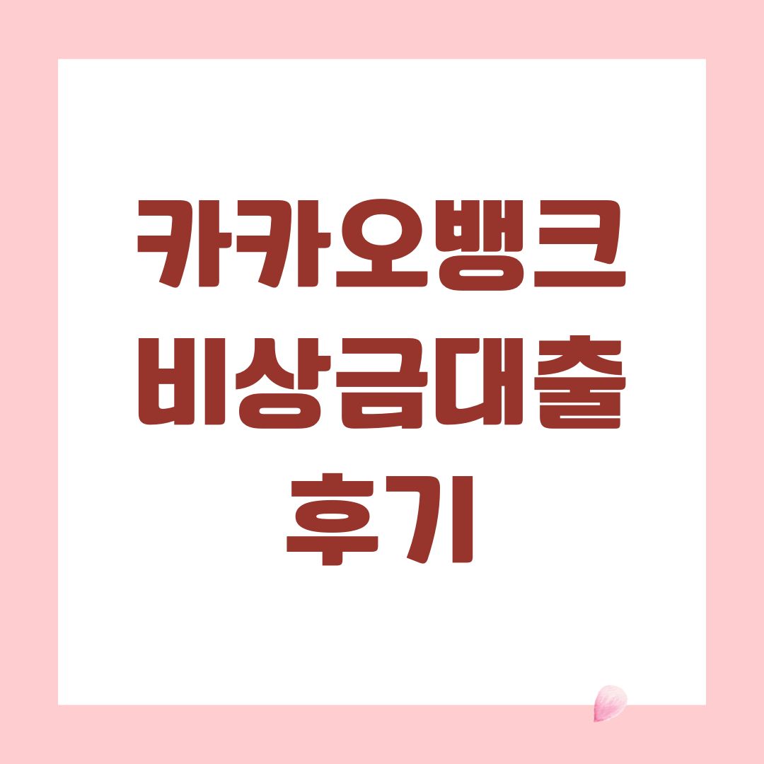 카카오뱅크 비상금대출 후기