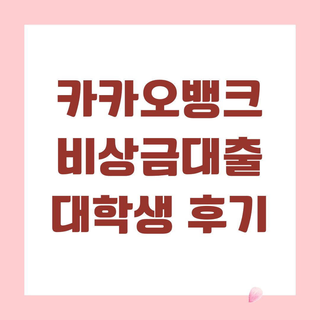 카카오뱅크 비상금대출 대학생 후기